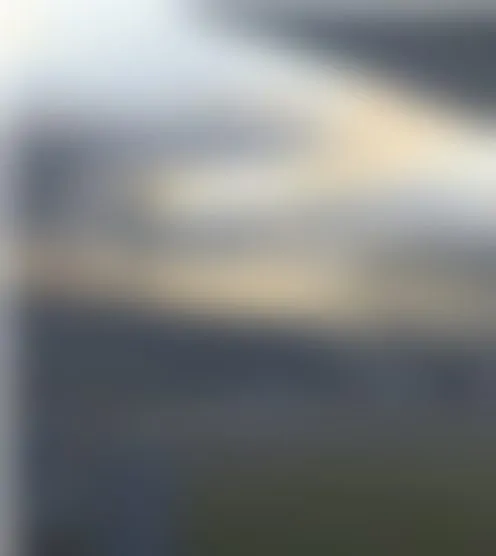 a********y