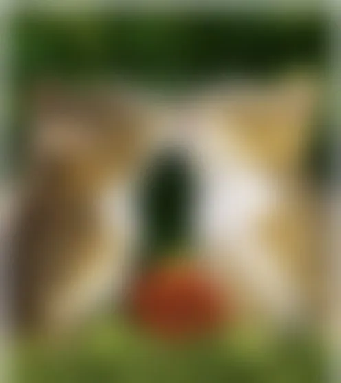 H***********1