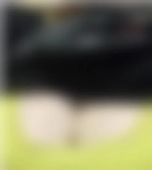 L**************a