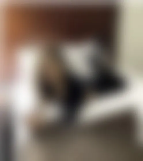 P**t