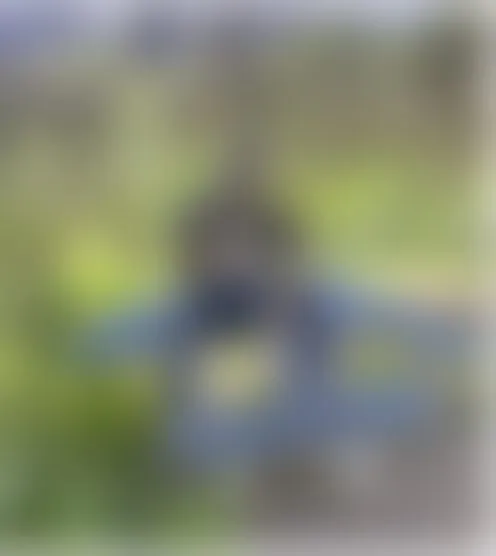 M**********6