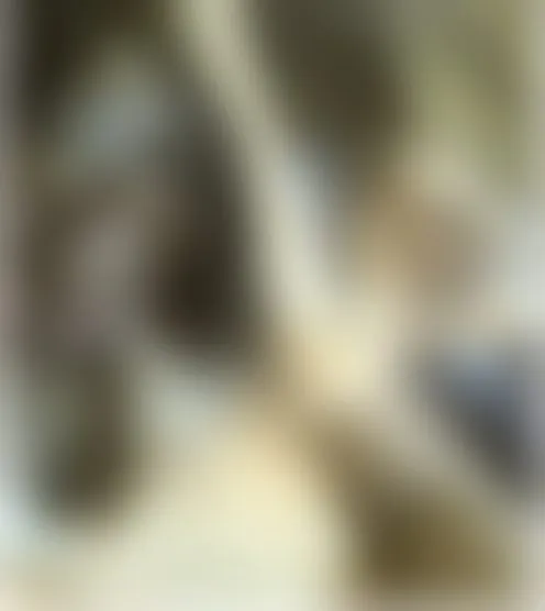 B*************y