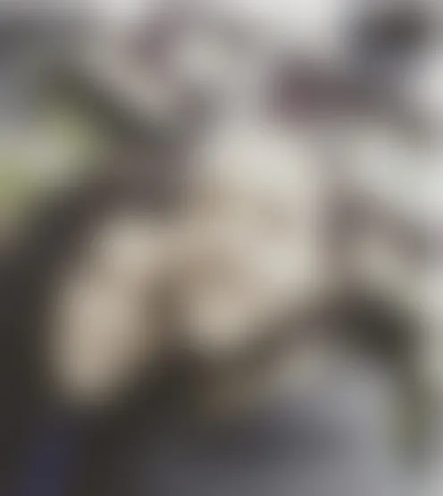 s********1