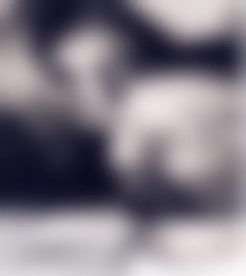 4**********2