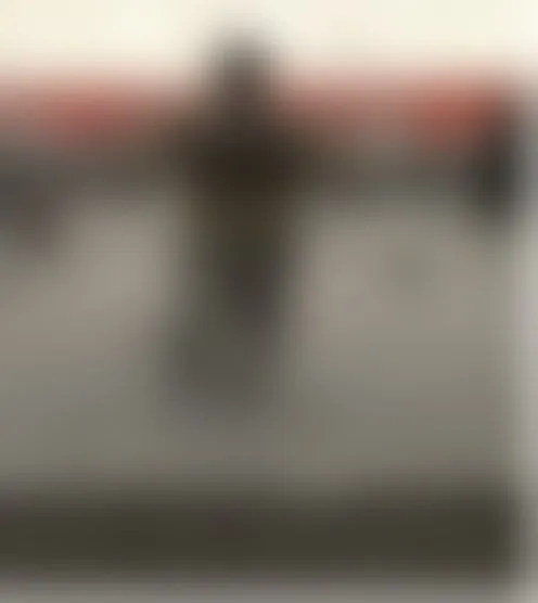 M*********l
