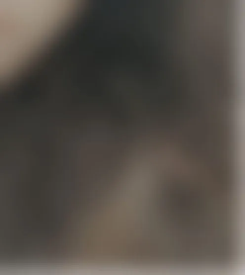 j******4