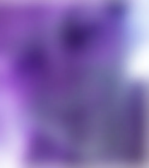 e***********e