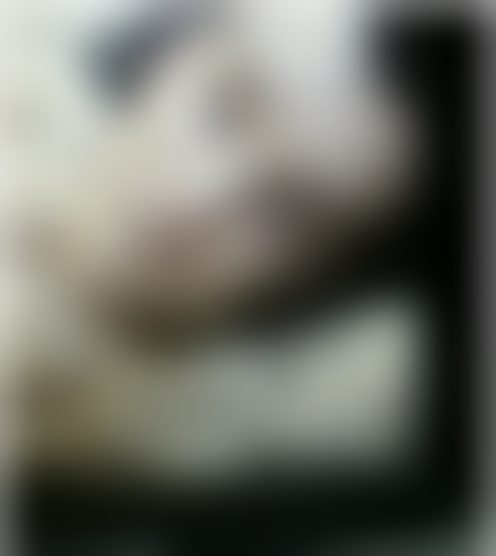 l*************1