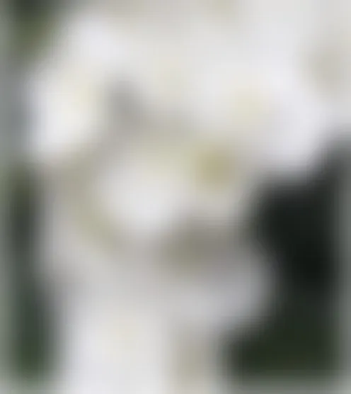 J*******3