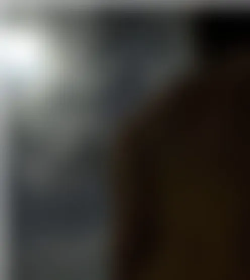 d***y