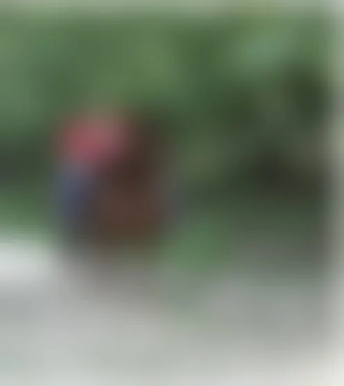 b******a