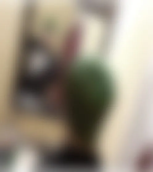 i**********e