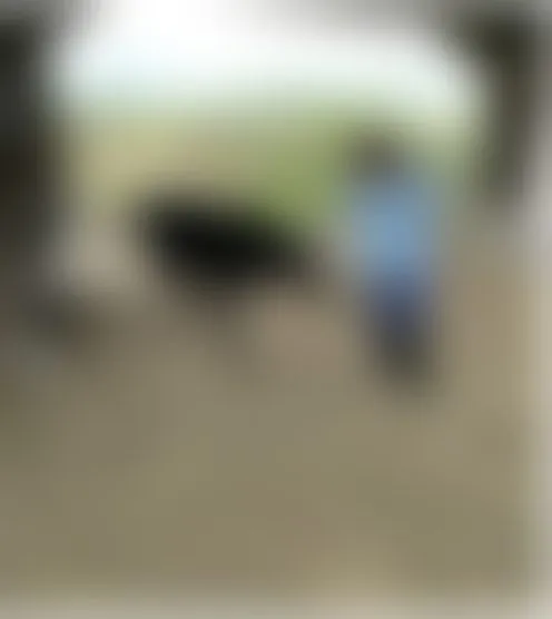 s*d