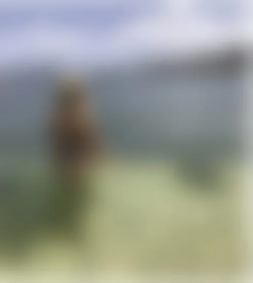k**********9
