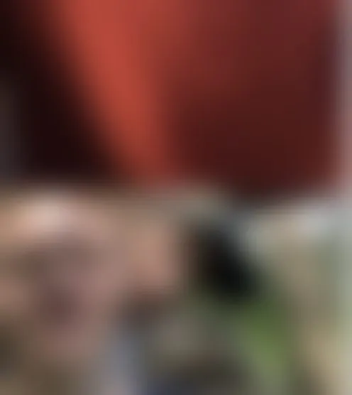 c***********n