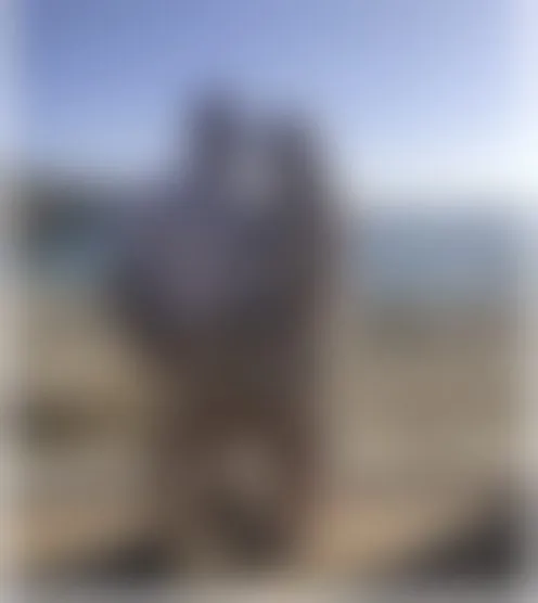 q******e