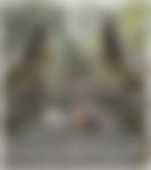 j*******9