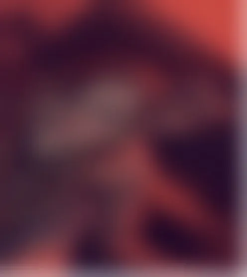 S******1