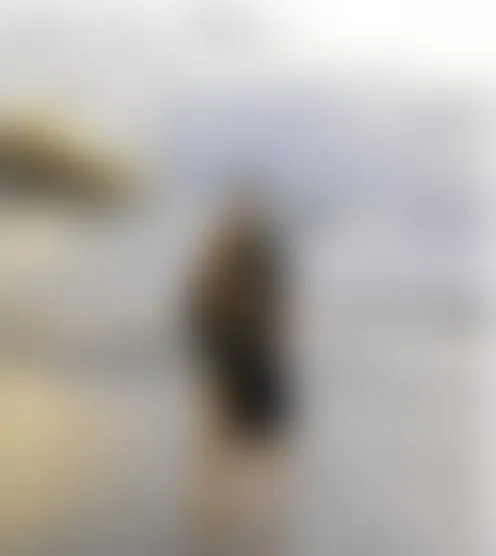 T******4