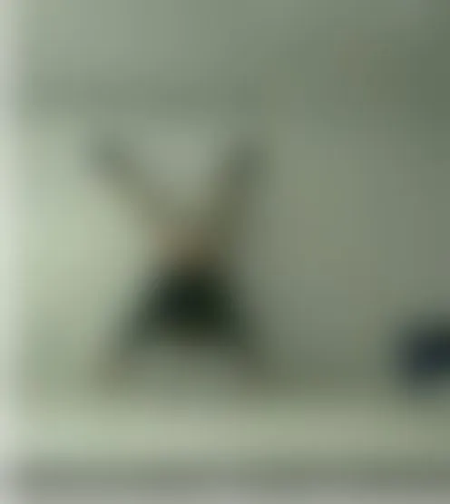 2************6