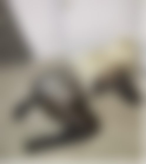 T***********3