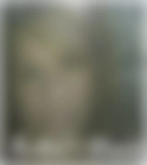 c***********g