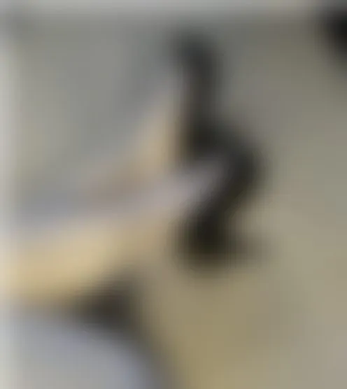 s****P