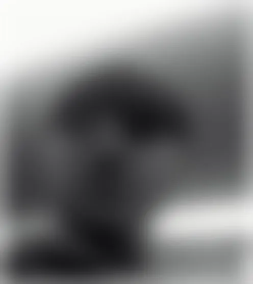 c***********e