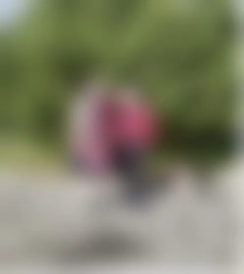 m********n