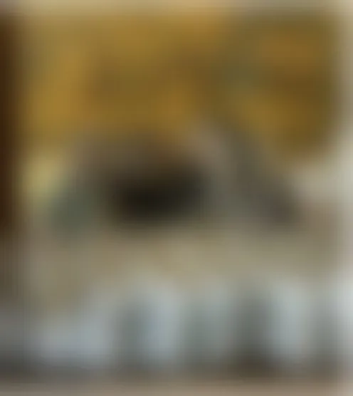 J***e