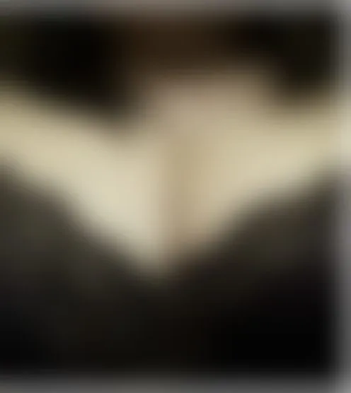 N************2