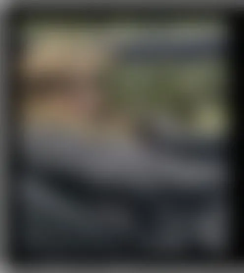 c******t