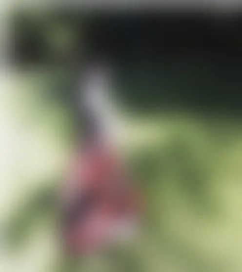 t**y