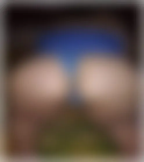 t********8