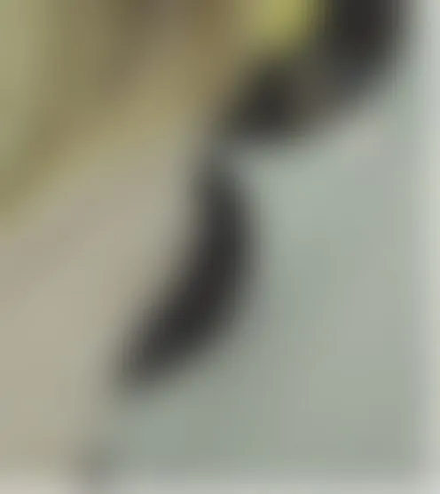 C***********1