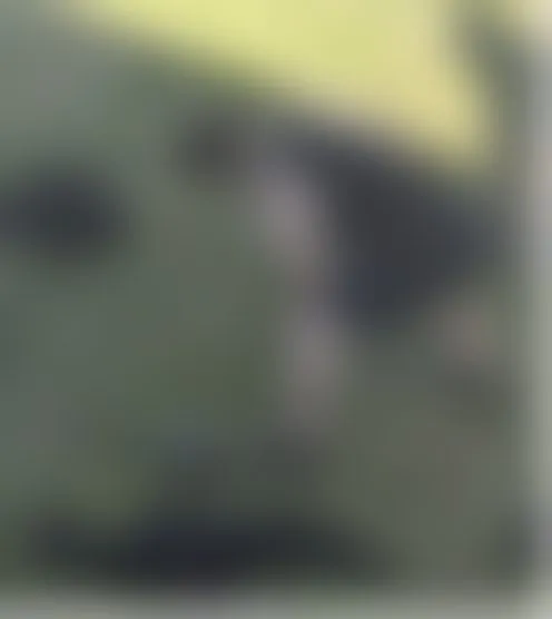 A**a