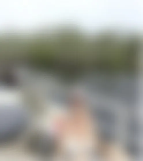 C*****n