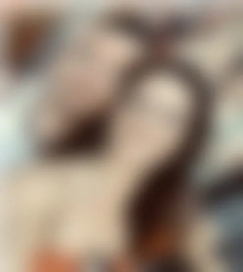 l******1