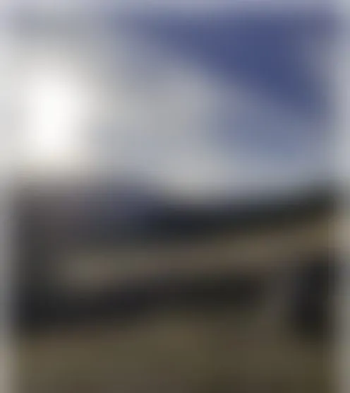v******8