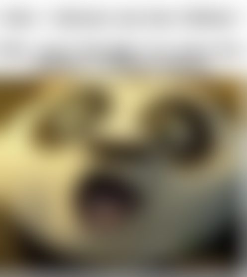 L**********1