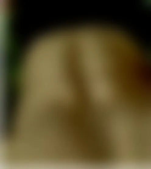 m********2