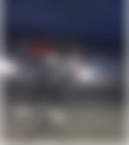 4****d