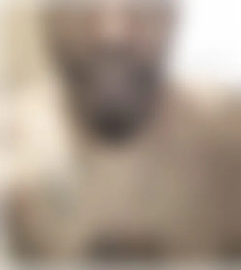 s**********9