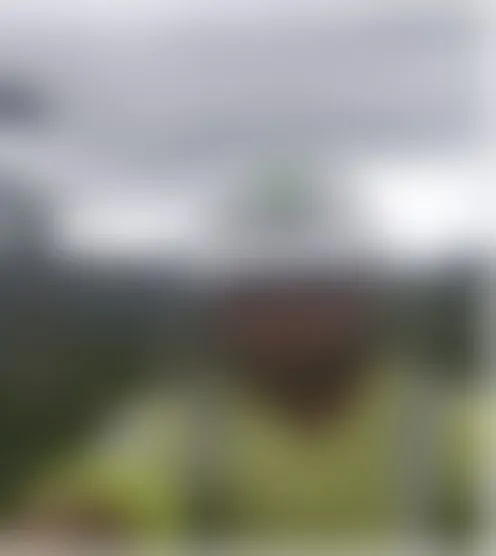 b**************s