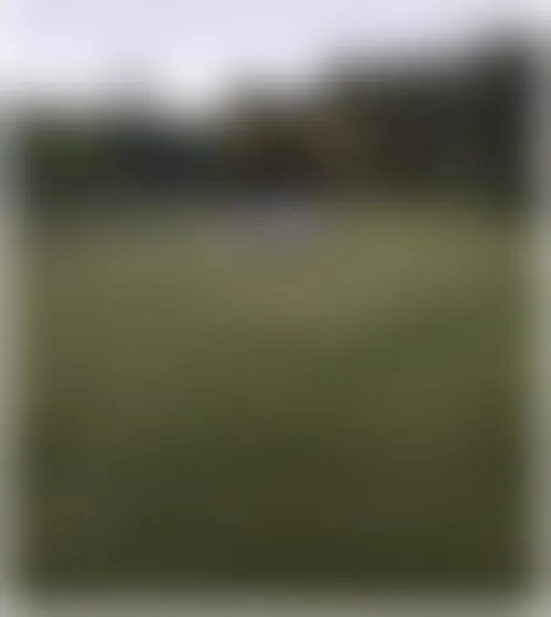 m***7
