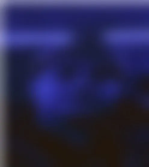 L************n