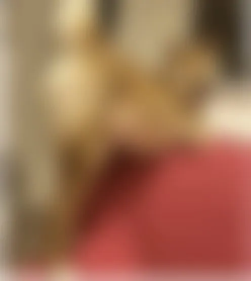 S****3
