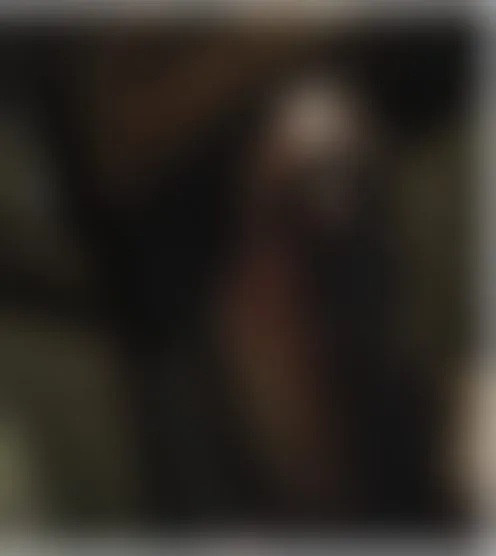 L*******O