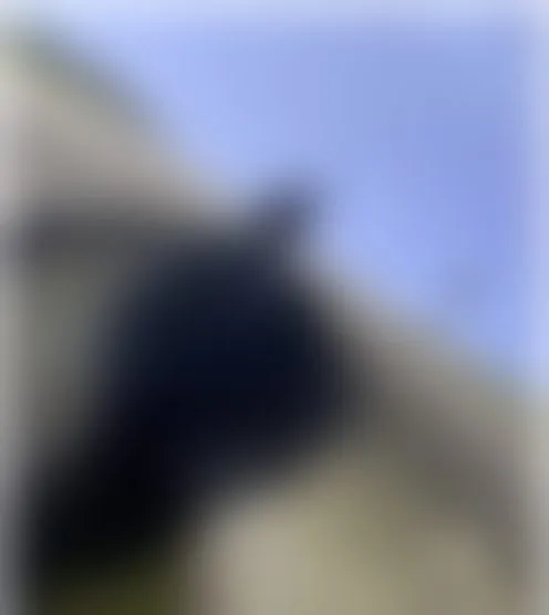 E**k