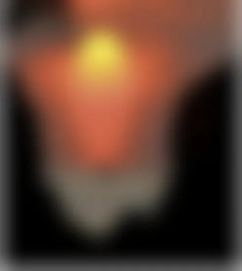 r***n